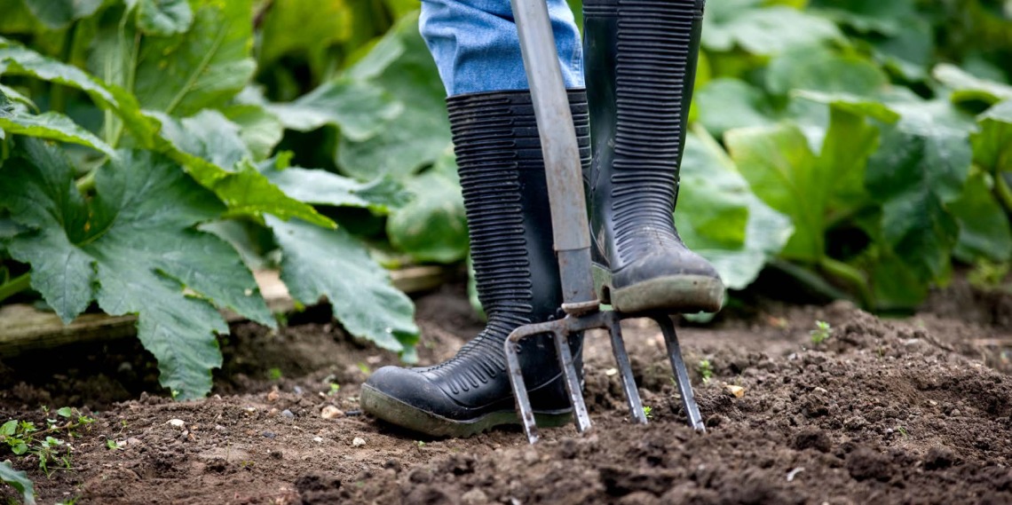 gardening