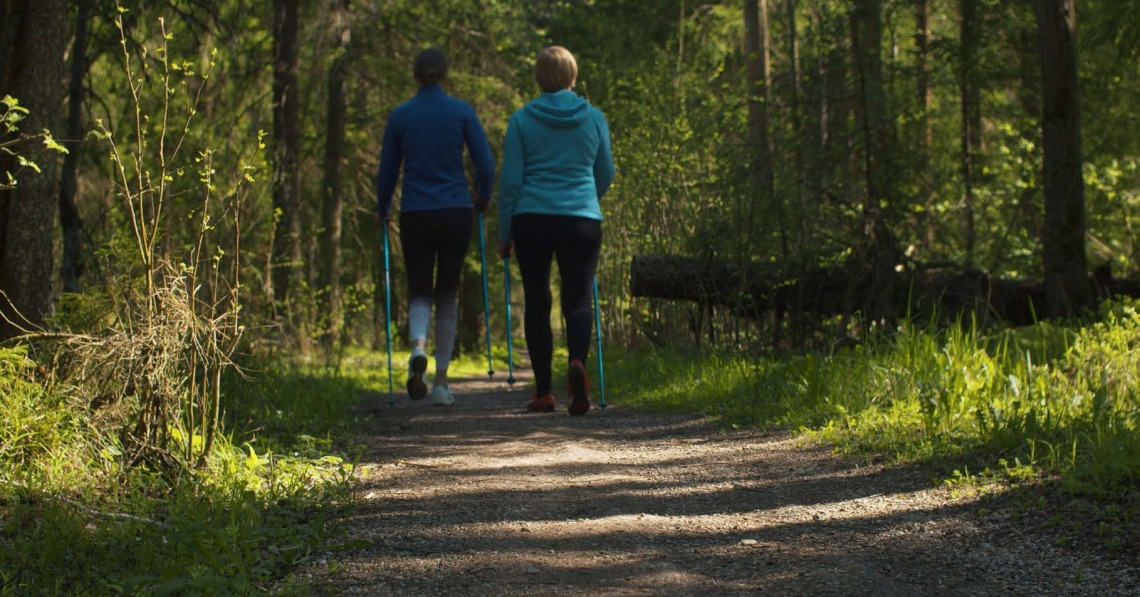 two people walking on woodland path